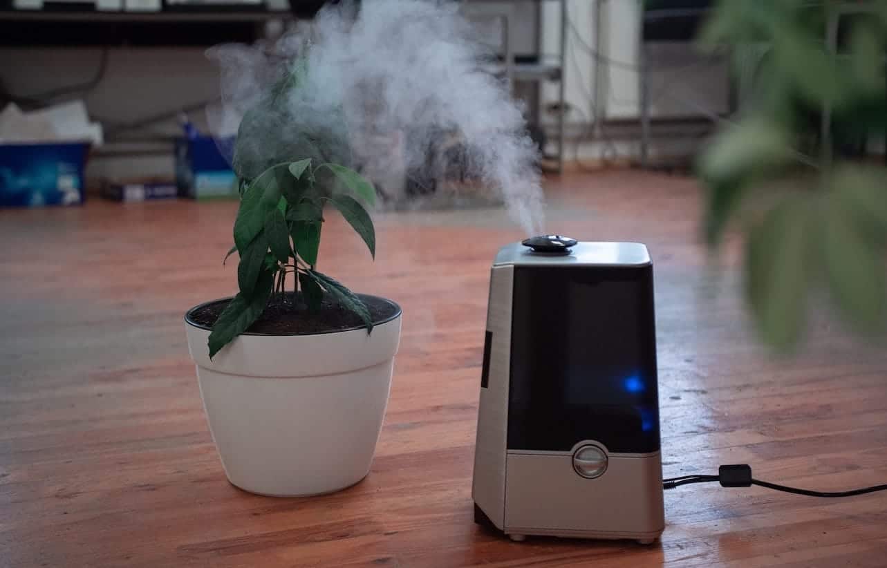 how to clean humidifier