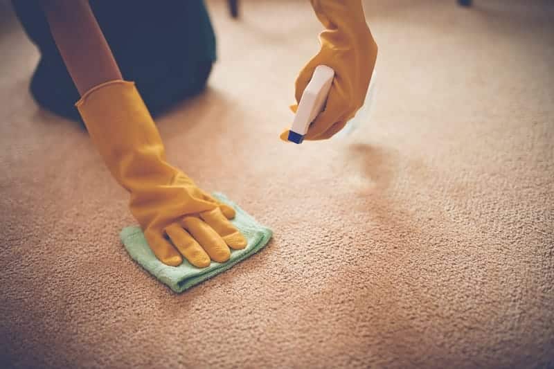 carpet stains 2