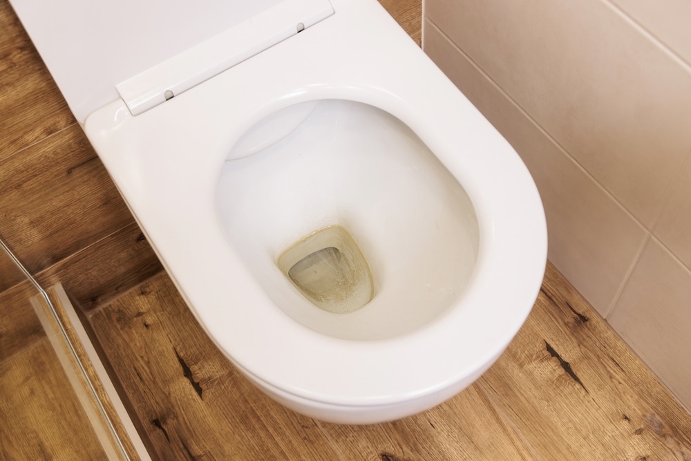What Causes Black Stains in Your Toilet & How to Fix It