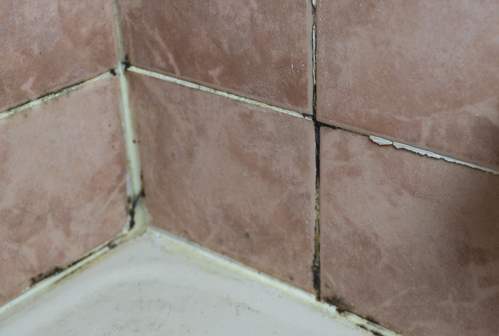 3 Best Ways to Get Rid of Hard Water Stains from Bathroom Tiles